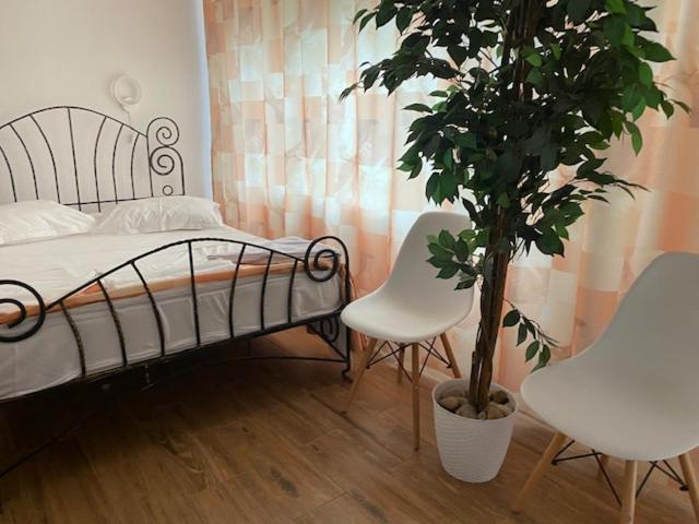 Suzana Garden Hotel Venus Buitenkant foto